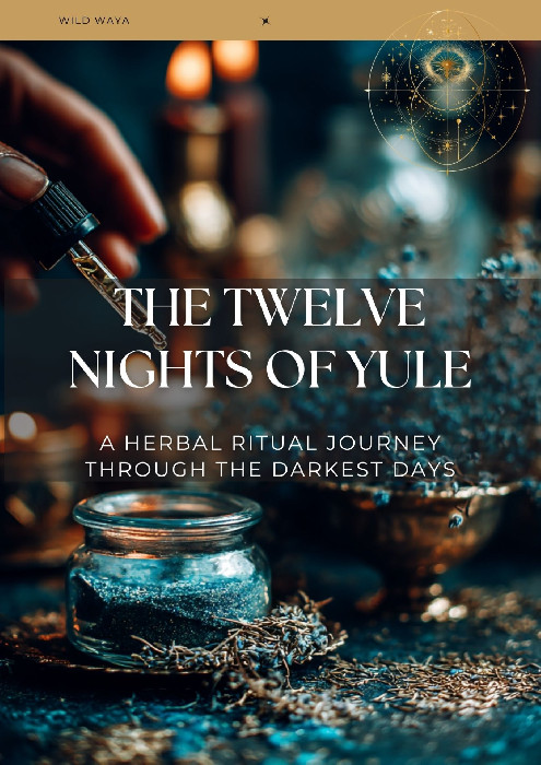 12 Sacred Nights of Yule – Magical Guided Rituals, Herbal Wisdom ...